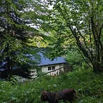 Apartmán Haus Am Wald Bad Sooden-Allendorf