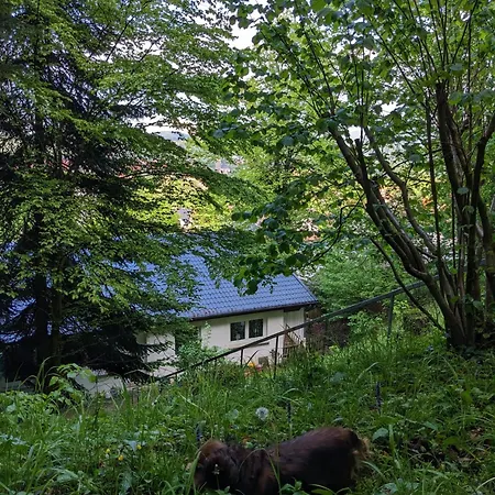 Апартаменты Haus Am Wald Бад-Зоден-Аллендорф
