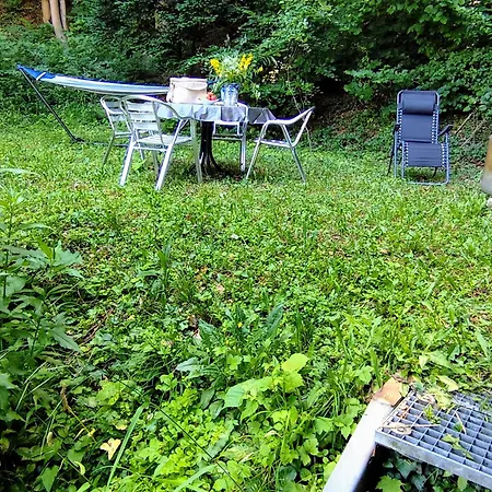 Haus Am Wald Apartment
