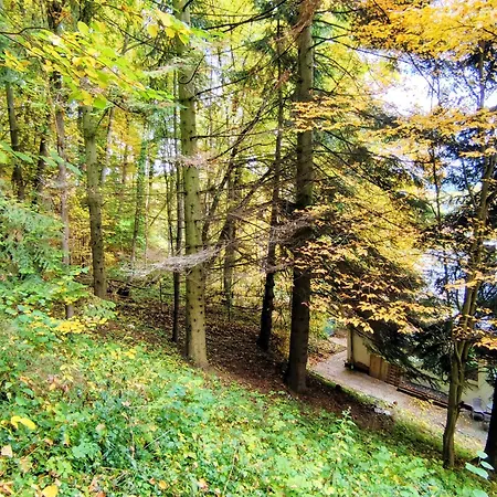 公寓 Haus Am Wald 巴特索登-阿伦多夫