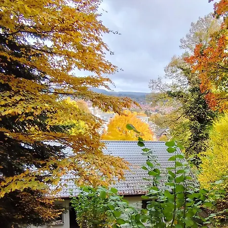 Haus Am Wald * Bad Sooden-Allendorf