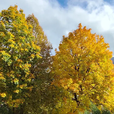 Haus Am Wald Apartman Bad Sooden-Allendorf