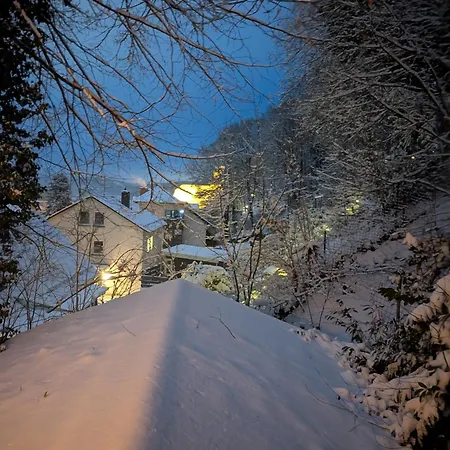 Haus Am Wald