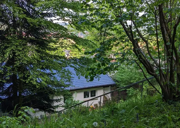 Apartman Haus Am Wald Bad Sooden-Allendorf