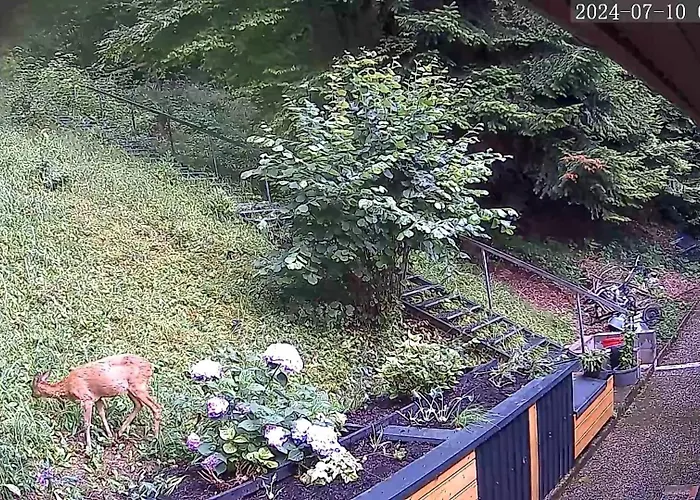 Haus Am Wald Apartman