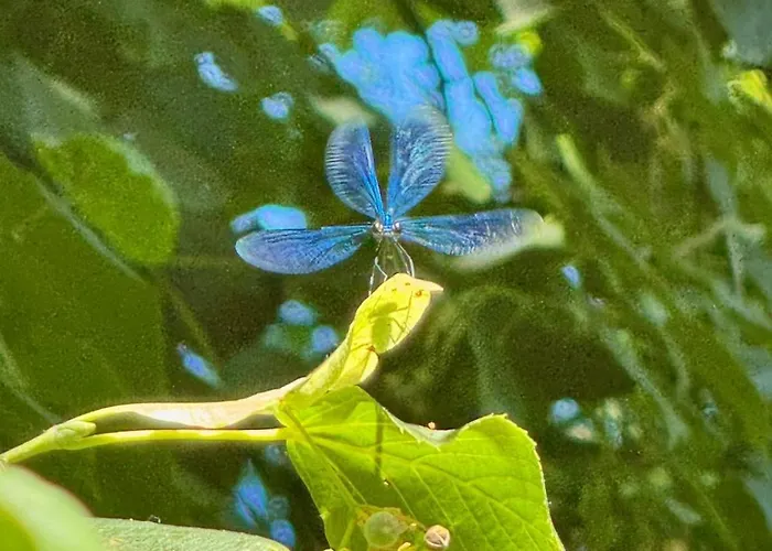 Apartman Haus Am Wald Bad Sooden-Allendorf