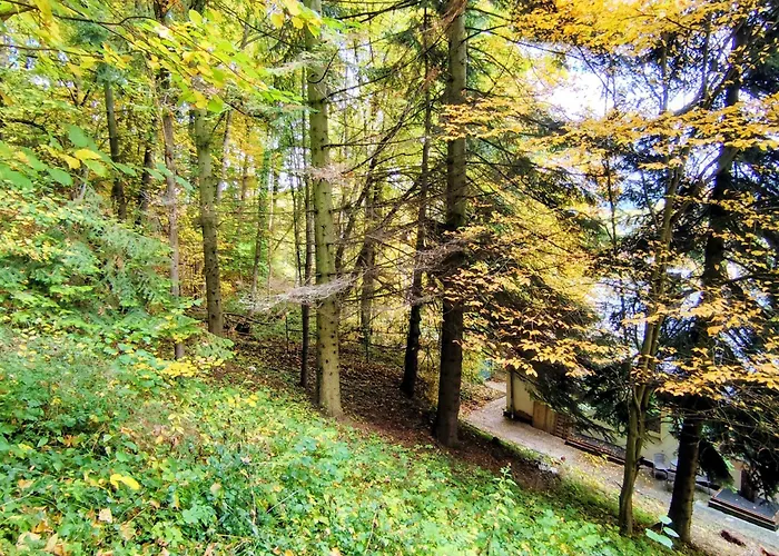 Apartman Haus Am Wald Bad Sooden-Allendorf